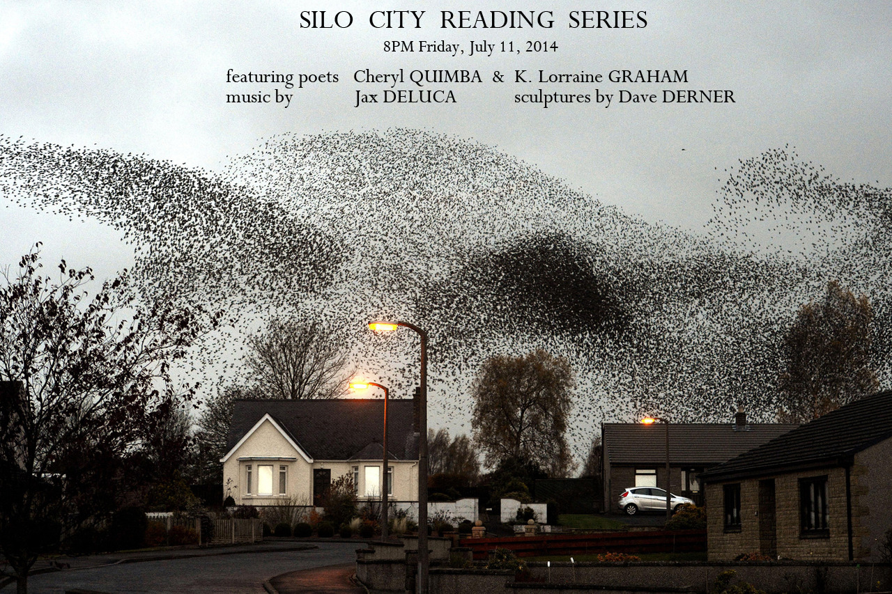 Image #: 20076383 11/11/12 A murmuration of starlings put on an a display over the town of Gretna last night. PA PHOTOS /LANDOV