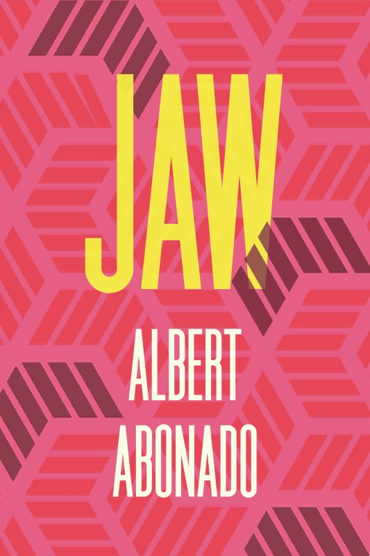 JAW-Albert-Abonado-book-cover-Just-Buffalo-Literary-Center