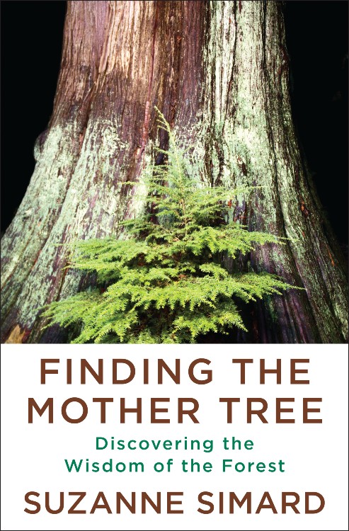 finding-the-mother-tree-suzanne-simard-community-event-just-buffalo