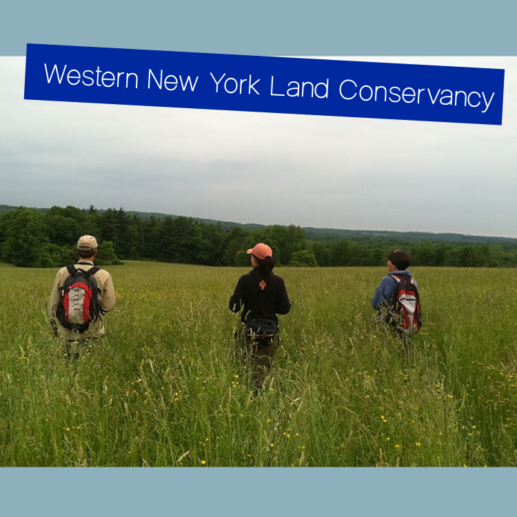 Western New York Land Conservancy