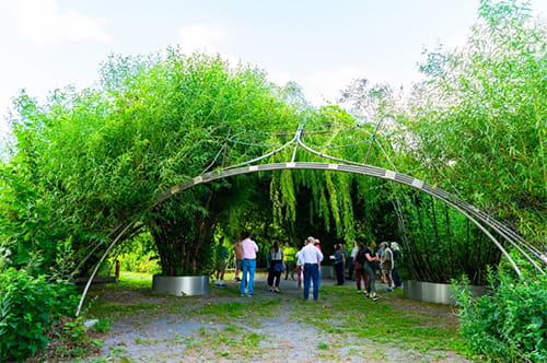 The Trellis at Silo City