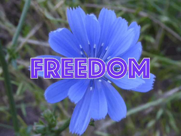 What Does “Blue” Mean to You? Share Your Story.