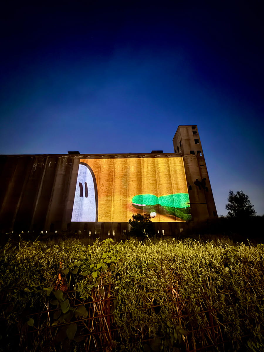 Julia Dzwonkoski's film Oh My God I Love Staring at Things 900x1200